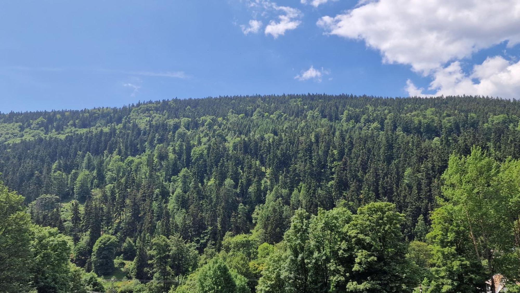 Pension Pstruzi Abertamy Buitenkant foto
