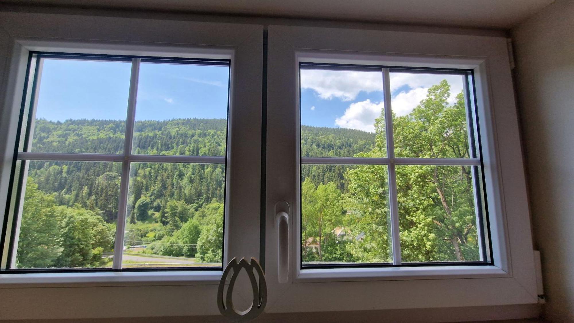 Pension Pstruzi Abertamy Buitenkant foto